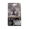 D&D Premium Miniatures: Драконорожденная паладин (Dragonborn Female Paladin) — изображение 2