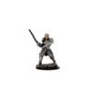 D&D Premium Miniatures: Человек-воин (Male Human Fighter) — изображение 3