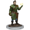 D&D Premium Miniatures: Полуэльф-бард (Male Half-Elf Bard) — изображение 2