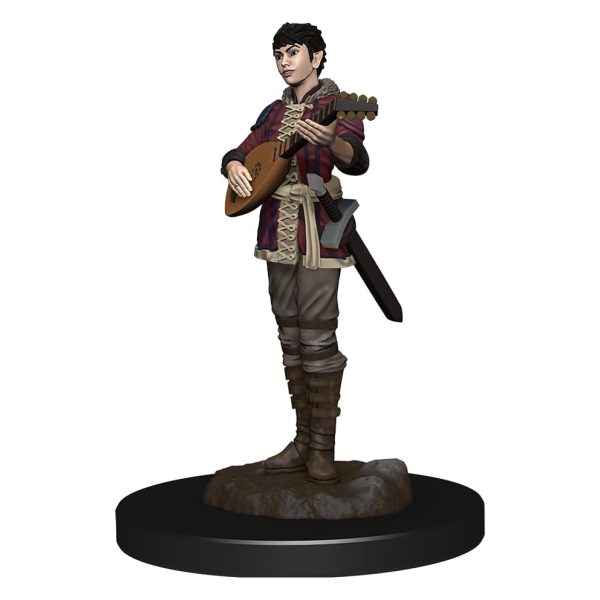 D&D Premium Miniatures: Полуэльф-бард, женщина (Half-Elf Bard Female)