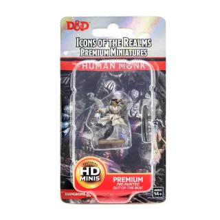 D&D Premium Miniatures: Человек-монах, женщина (Human Monk Female)